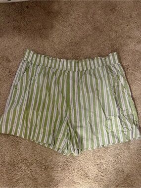 Aerie Green Striped Shorts
Size XXL